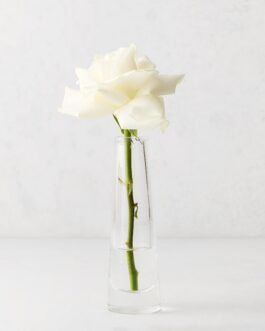 Solifleur Small Glass Bud Vase