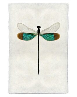 Turquoise Damsel Dragonfly Handmade Paper Wall Art Print