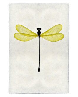 Yellow Damsel Dragonfly Handmade Paper Wall Art Print