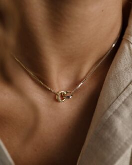 Interlocking Circles Necklace