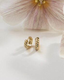 Morgan Croissant Hoops