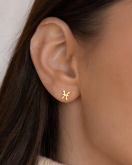 Tiny Zodiac Studs