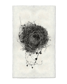 Nest Study Handmade Paper Wall Art Print