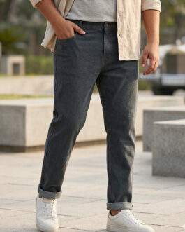 Plus Men's Grey Regular Fit Washed Jeans Stretchable