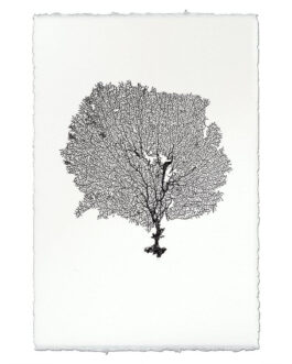 Round Sea Fan Handmade Paper Wall Art Print