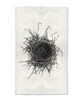 Nest Study Handmade Paper Wall Art Print