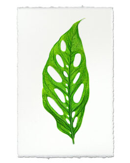 Green Monstera Leaf on English Watercolor Wall Art Print